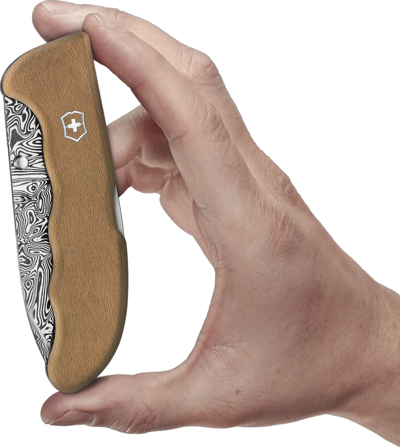 Evoke Wood Damast 2026_3